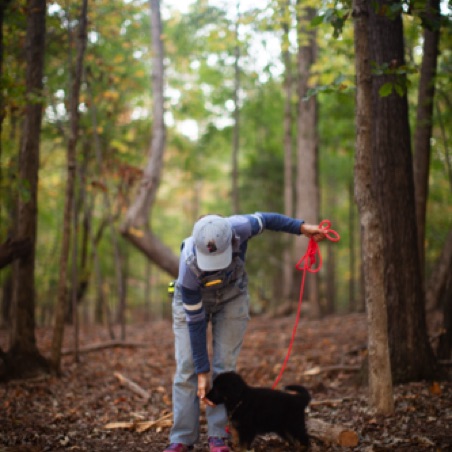 Ellen uses food to leash train Ellen uses food to leash train